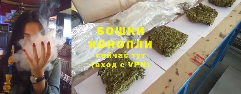 Бошки Шишки OG Kush  Беломорск 